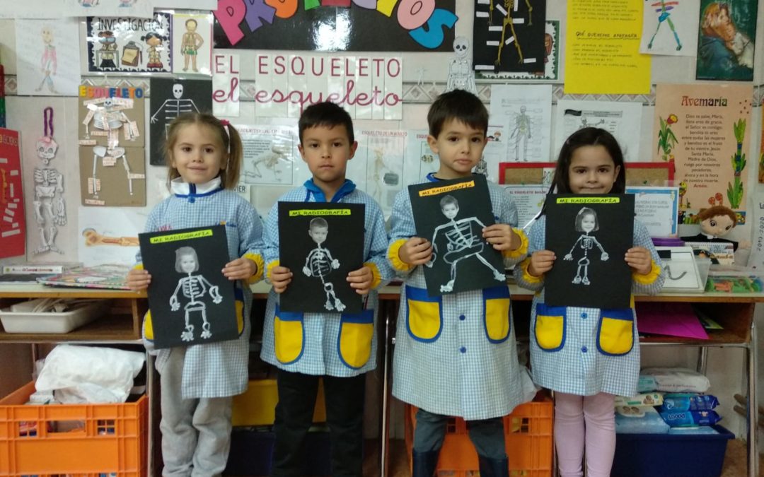 Proyecto del esqueleto en 3º de Ed.infantil