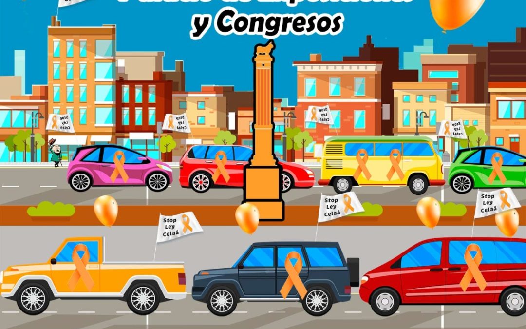 Domingo 22 Noviembre. Manifestación en automóvil. Por el derecho a elegir la educación de nuestros hijos