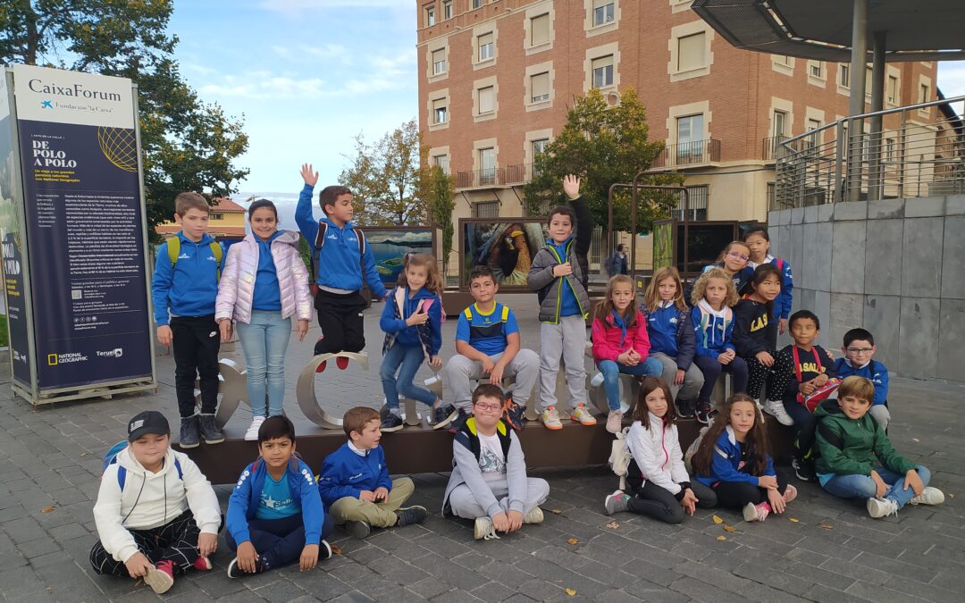Segundo de primaria visita a la exposición «de Polo a Polo» en su paseo otoñal