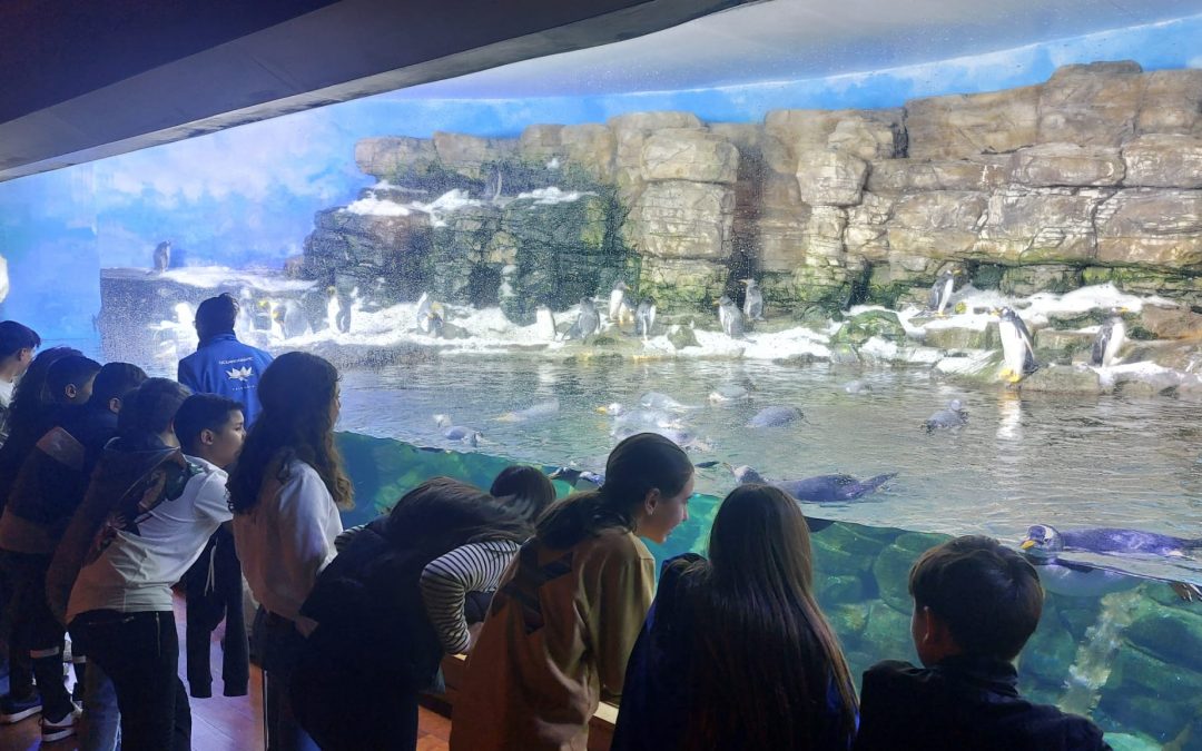 Visita al Oceanografic