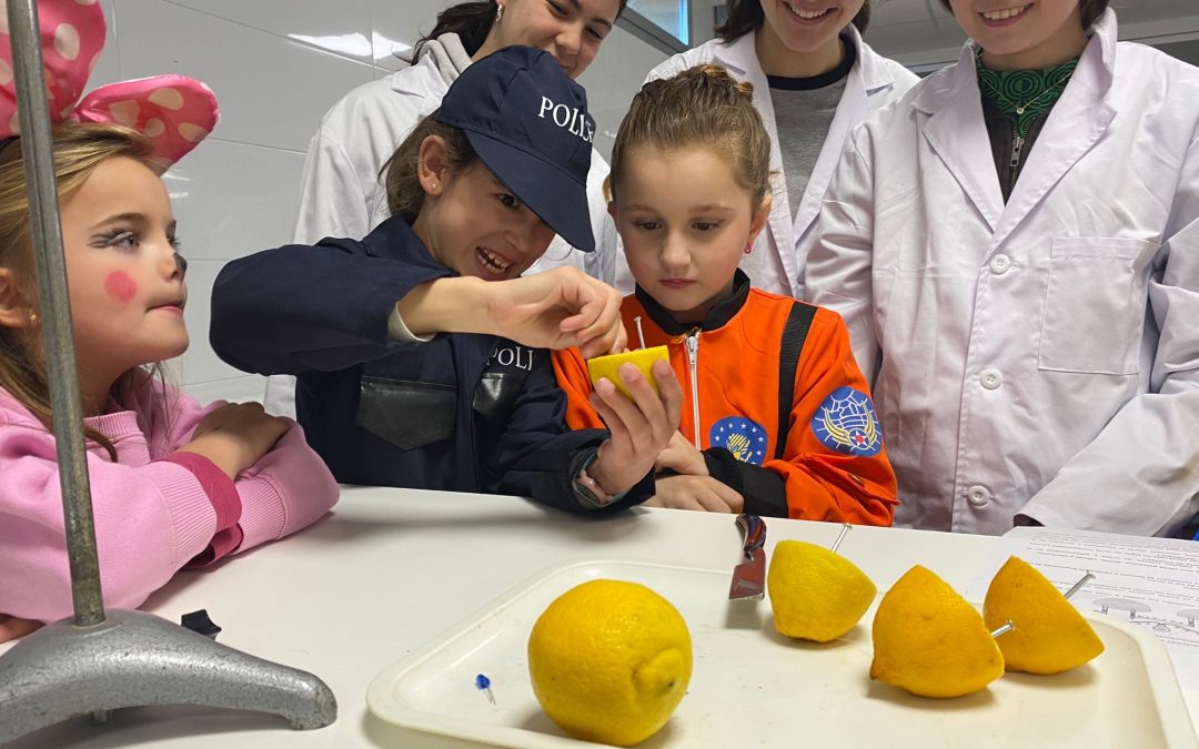 Celebrando el Día de la mujer y la niña en la Ciencia