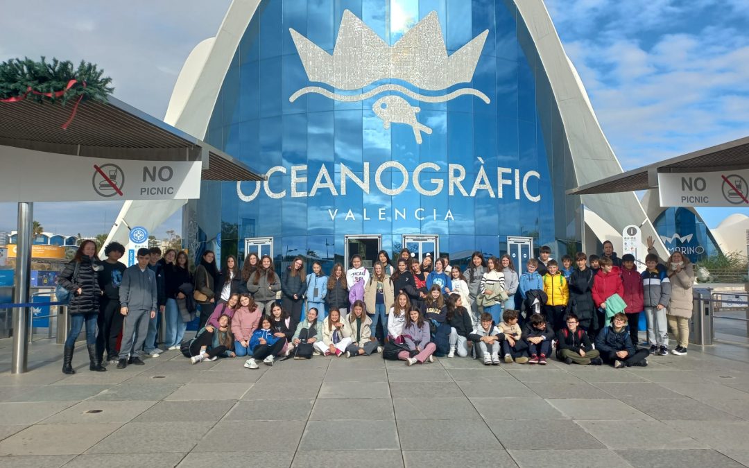 Descubriendo la diversidad en el Oceanogràfic