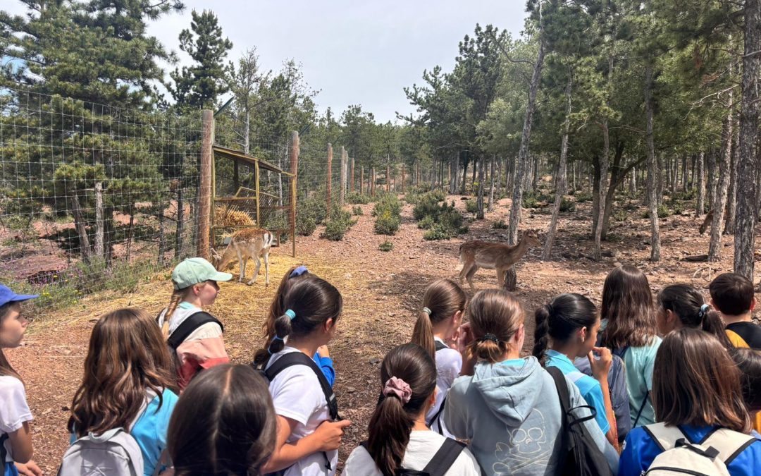5º de Primaria disfruta de una jornada en La Maleza